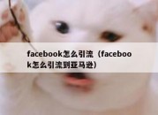 facebook怎么引流（facebook怎么引流到亚马逊）