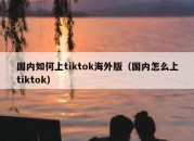 国内如何上tiktok海外版（国内怎么上tiktok）