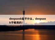 deepseek能干什么，deepseek干嘛用的！