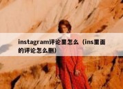 instagram评论里怎么（ins里面的评论怎么删）