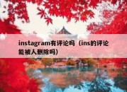 instagram有评论吗（ins的评论能被人删除吗）