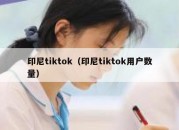 印尼tiktok（印尼tiktok用户数量）