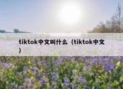 tiktok中文叫什么（tiktok中文）