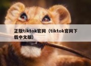 正版tiktok官网（tiktok官网下载中文版）