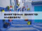 国内如何下载tiktok（国内如何下载tiktok国际版华为）