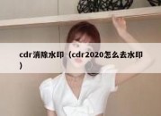 cdr消除水印（cdr2020怎么去水印）