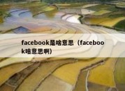 facebook是啥意思（facebook啥意思啊）