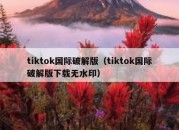 tiktok国际破解版（tiktok国际破解版下载无水印）