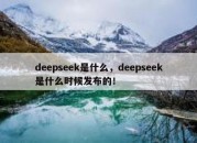 deepseek是什么，deepseek是什么时候发布的！