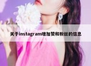 关于instagram增加赞和粉丝的信息