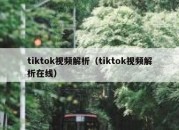 tiktok视频解析（tiktok视频解析在线）