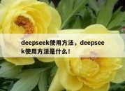 deepseek使用方法，deepseek使用方法是什么！