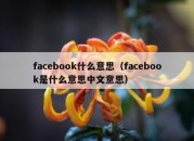 facebook什么意思（facebook是什么意思中文意思）