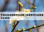 宁海抖音自助账号代运营（抖音账号代运营是什么意思）