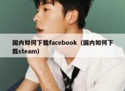 国内如何下载facebook（国内如何下载steam）