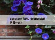 deepseek官网，deepseek官网是什么！