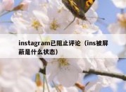 instagram已阻止评论（ins被屏蔽是什么状态）