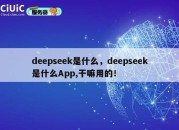 deepseek是什么，deepseek是什么App,干嘛用的！