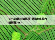 tiktok国内破解版（tiktok国内破解版ios）