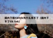 国内下载tiktok为什么用不了（国内下不了tik tok）