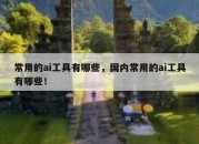 常用的ai工具有哪些，国内常用的ai工具有哪些！