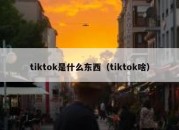 tiktok是什么东西（tiktok啥）