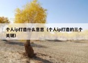 个人ip打造什么意思（个人ip打造的三个关键）