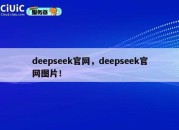 deepseek官网，deepseek官网图片！