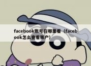 facebook账号在哪里看（facebook怎么查看账户）