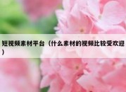 短视频素材平台（什么素材的视频比较受欢迎）