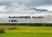 facebook实时股价（facebook 股价）