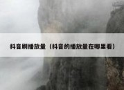 抖音刷播放量（抖音的播放量在哪里看）