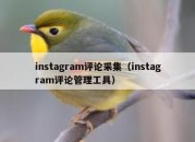 instagram评论采集（instagram评论管理工具）