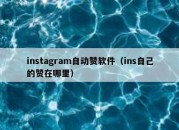 instagram自动赞软件（ins自己的赞在哪里）