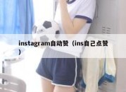 instagram自动赞（ins自己点赞）