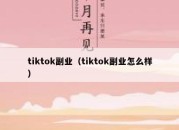 tiktok副业（tiktok副业怎么样）