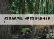 ai工具免费下载，ai获客系统软件排名榜！