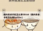 国内安卓手机怎么用tiktok（国内安卓手机怎么用twitter）