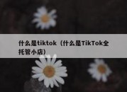 什么是tiktok（什么是TikTok全托管小店）