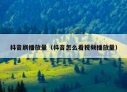 抖音刷播放量（抖音怎么看视频播放量）