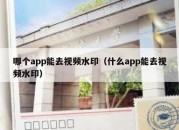 哪个app能去视频水印（什么app能去视频水印）