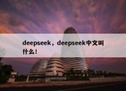 deepseek，deepseek中文叫什么！