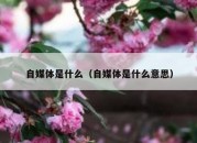 自媒体是什么（自媒体是什么意思）