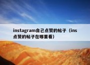 instagram自己点赞的帖子（ins点赞的帖子在哪里看）