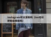 instagram可以清粉吗（ins可以把粉丝移除吗）