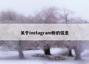 关于instagram粉的信息