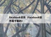 facebook软件（facebook软件是干嘛的）