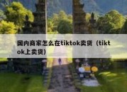 国内商家怎么在tiktok卖货（tiktok上卖货）