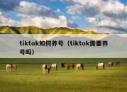 tiktok如何养号（tiktok需要养号吗）