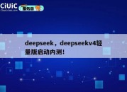 deepseek，deepseekv4轻量版启动内测！
